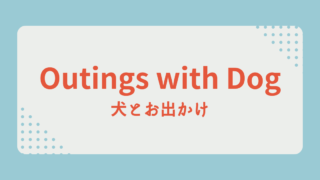 犬とお出かけ